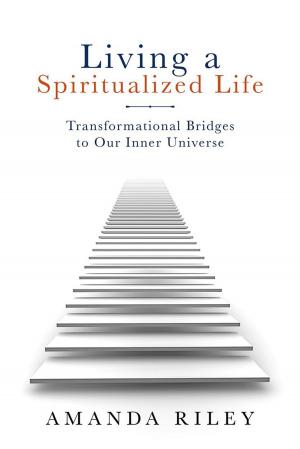 Cover of the book Living a Spiritualized Life by Roger Salvino