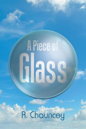Cover of the book A Piece of Glass by Shadoew Rose Terrell