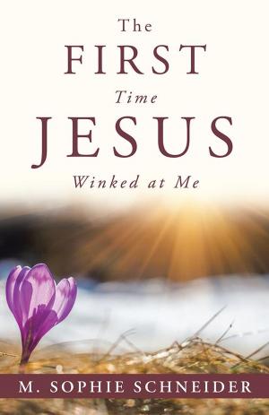 Book cover of The First Time Jesus Winked at Me