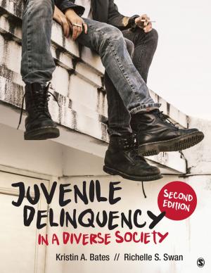 Book cover of Juvenile Delinquency in a Diverse Society