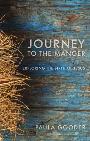Cover of the book Journey to the Manger by Geza Vermes