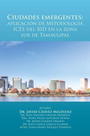 Cover of the book Ciudades Emergentes: Aplicación De Metodología Ices Del Bid En La Zona Sur De Tamaulipas by Saily Fuentes Santos