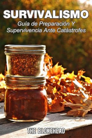 Cover of the book Survivalismo - Guía de preparación y supervivencia ante catástrofes by Patrice Martinez