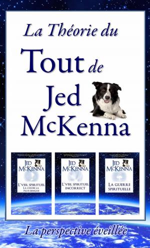 Cover of the book La théorie du tout de Jed McKenna - La perspective éveillée by Adam Ford