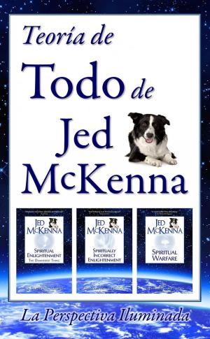 Book cover of Teoría de todo, de Jed McKenna--La perspectiva iluminada