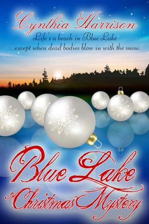 Cover of the book Blue Lake Christmas Mystery by Desiree  Holt