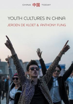 Cover of the book Youth Cultures in China by Rongfang Liu