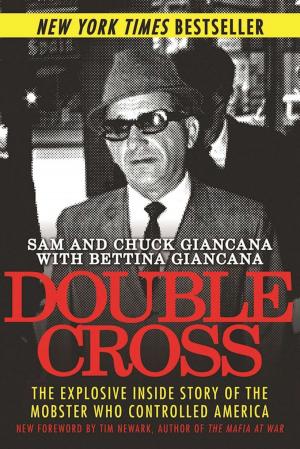 Cover of the book Double Cross by T. M. Hoy