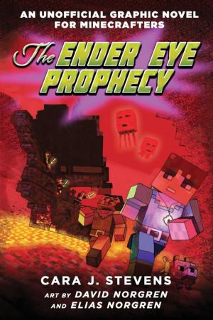 Cover of the book The Ender Eye Prophecy by Megan Miller