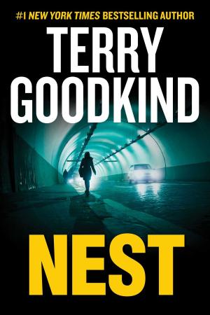 Cover of the book Nest by Nicole Audrey Spector