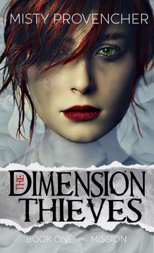 Book cover of The Dimension Thieves (Book One, Mission)