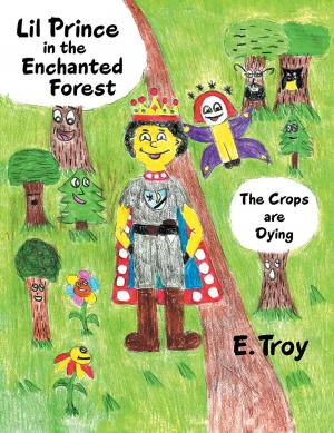 Book cover of Lil Prince in the Enchanted Forest