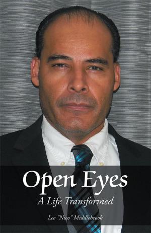 Cover of the book Open Eyes by Kate Brueck