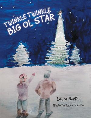 Cover of the book Twinkle Twinkle Big Ol Star by Brenda Perlin