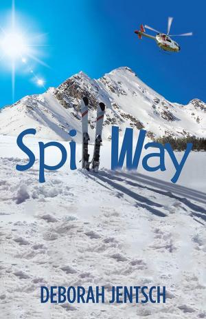 Cover of Spillway
