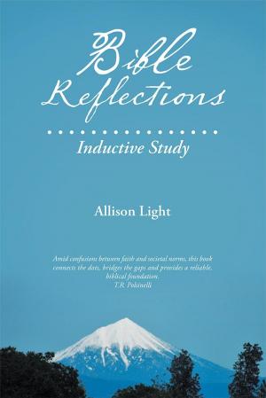 Cover of the book Bible Reflections by Karen Dancey