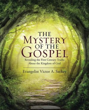 Cover of the book The Mystery of the Gospel by Dr. Kwasi Kodua Addai-Mensah