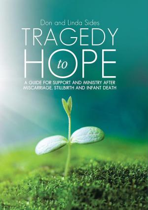 Cover of the book Tragedy to Hope by Lori Wilson, Mike York