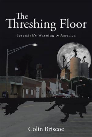Cover of the book The Threshing Floor by Terry Lee Dick Dykstra