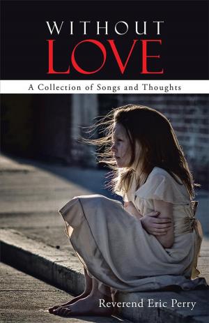 Cover of the book Without Love by Margaret Grguri Smolik