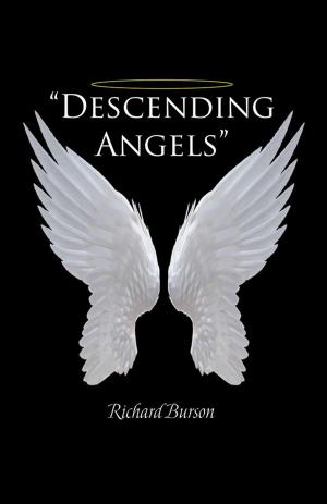 Cover of the book "Descending Angels" by Cindy Rice Holster
