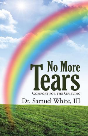 Cover of the book No More Tears by Susana J. Bertuna Ph.D.