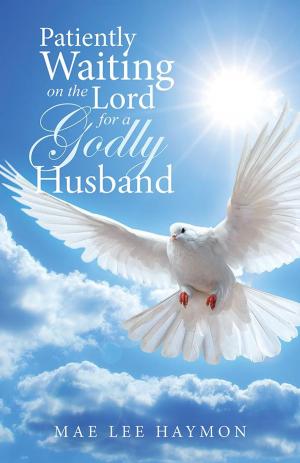 Cover of the book Patiently Waiting on the Lord for a Godly Husband by Mary Stewart Anthony