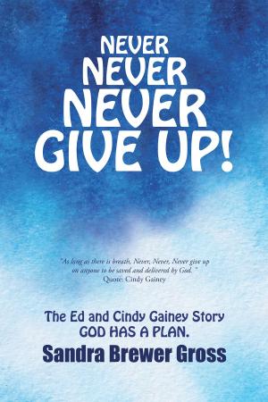 Cover of the book Never Never Never Give Up! by Robert E. Harris