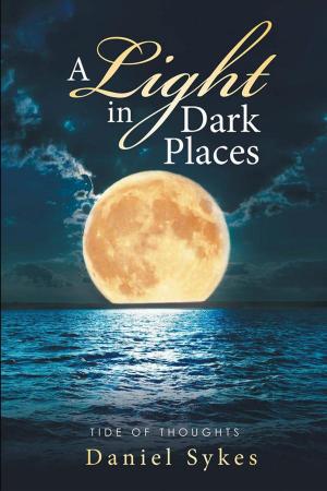 Cover of the book A Light in Dark Places by Ashley DD Hajny