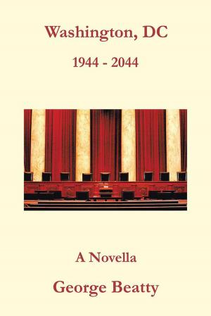 Cover of the book Washington, Dc by Rita Silvestri