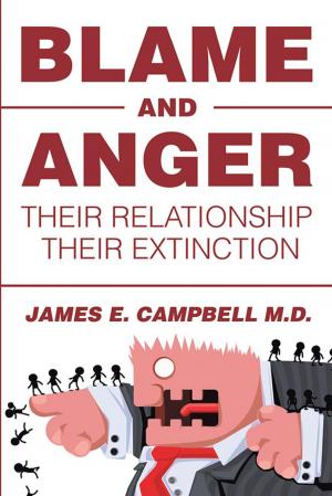Book cover of Blame and Anger
