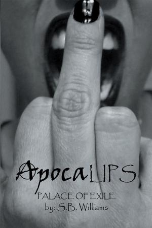 bigCover of the book Apocalips by 