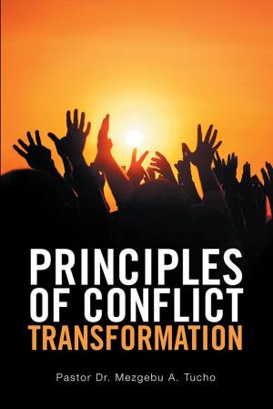 Cover of the book Principles of Conflict Transformation by M.B. Jefferson