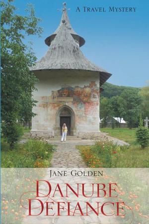 Cover of the book Danube Defiance by PJ Grondin