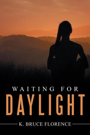 Cover of the book Waiting for Daylight by David Mallegol