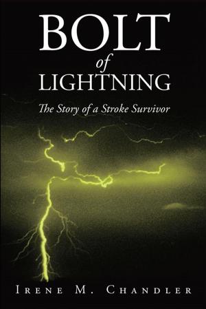 Book cover of Bolt of Lightning