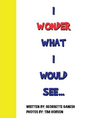 Cover of I Wonder What I Would See...