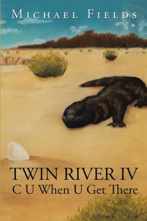 Cover of the book Twin River Iv by Twinkle Zaman