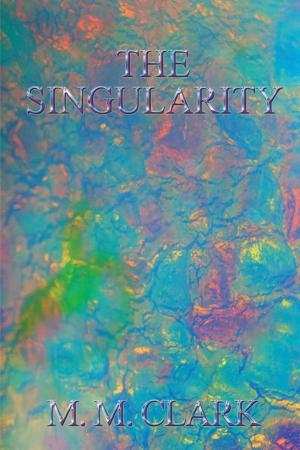 Cover of the book The Singularity by Virginia Swain