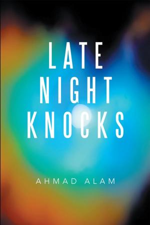 Cover of the book Late Night Knocks by Evelyn McCollum