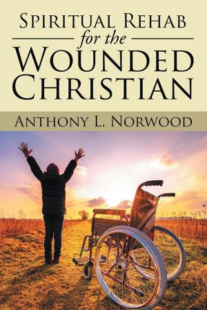 Book cover of Spiritual Rehab for the Wounded Christian