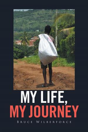 Cover of the book My Life, My Journey by Clive Hopkins