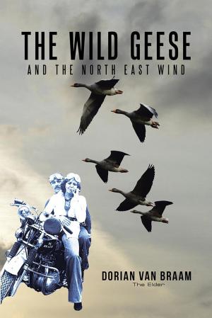 bigCover of the book The Wild Geese and the North East Wind by 