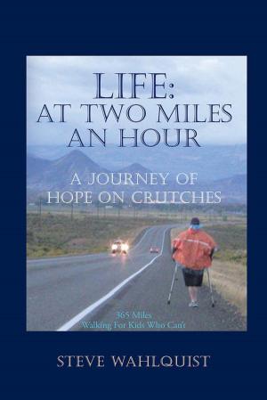 Cover of the book Life: at Two Miles an Hour by Jerry Vermilye