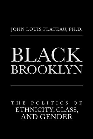Book cover of Black Brooklyn