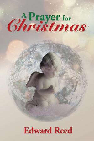 Cover of the book A Prayer for Christmas by JEAN MARIE RUSIN