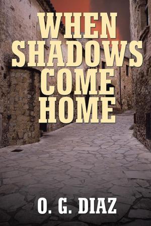 Cover of the book When Shadows Come Home by Susan A. Perkins