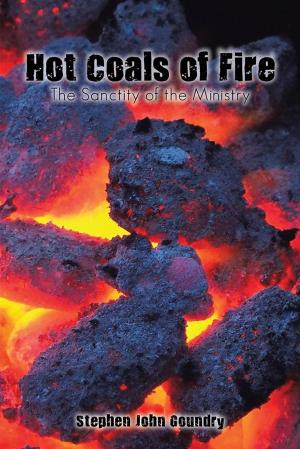 Cover of the book Hot Coals of Fire by June Marie W. Saxton