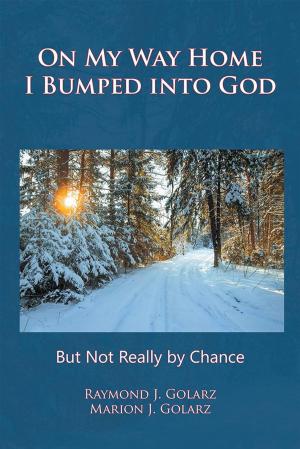 Cover of the book On My Way Home I Bumped into God by Sinuard Castelo, Louise Clamme