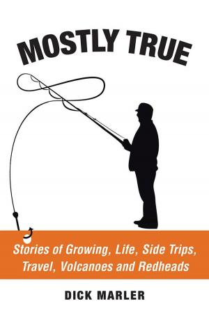 Cover of the book Mostly True by Michael Simmons